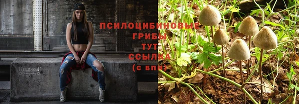 MDMA Premium VHQ Зеленокумск