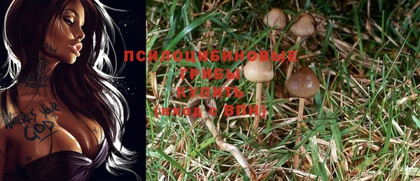 MDMA Premium VHQ Зеленокумск