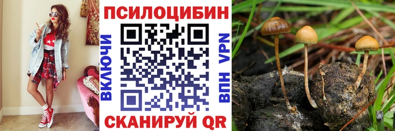 Галлюциногенные грибы мицелий Сосногорск